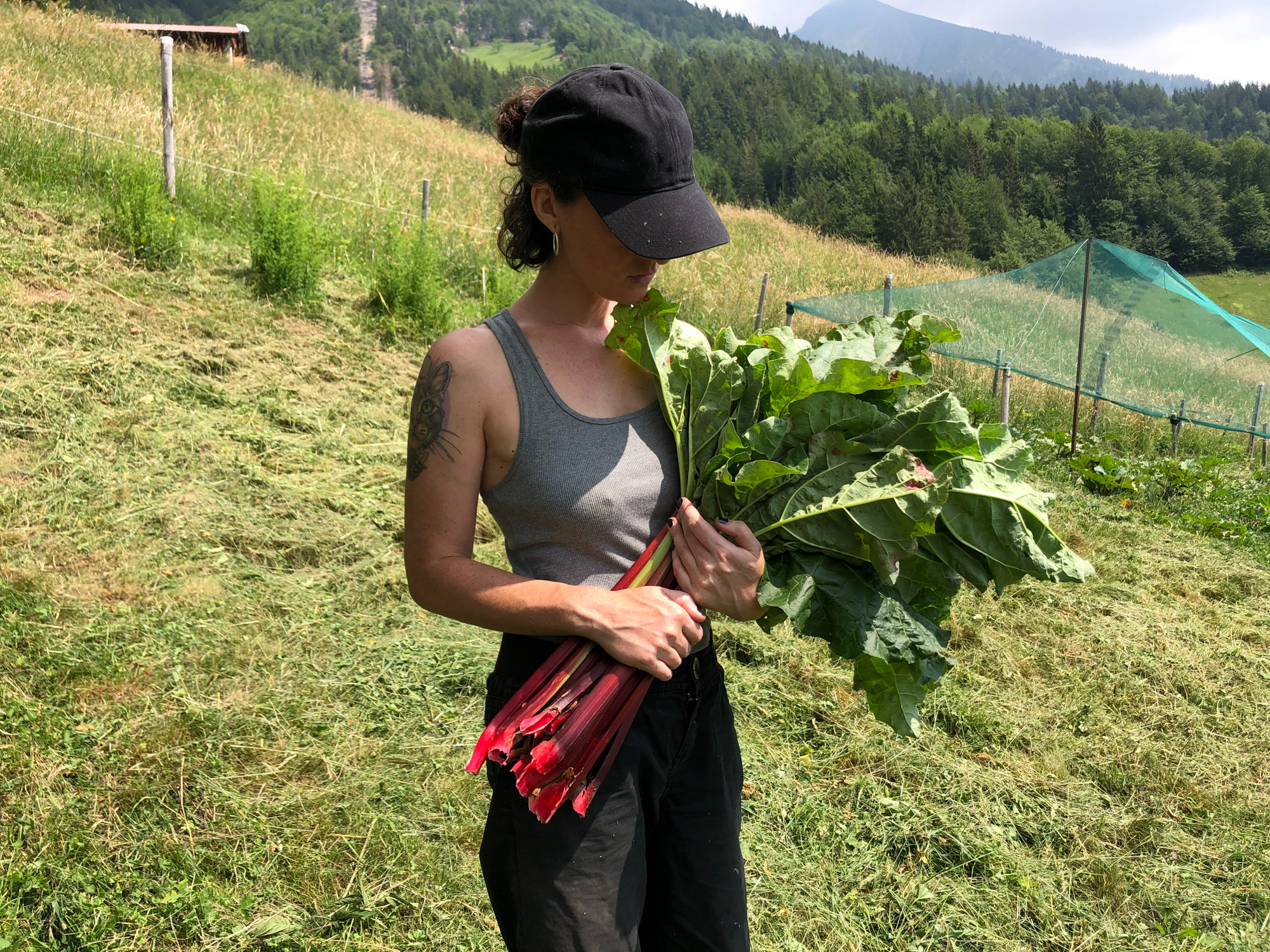 Composta di rabarbaro 80% frutta - immagine 3